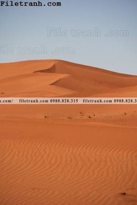 File gốc hinh anh phong canh sa mac yen tinh 111 (in lụa) trang trí tường