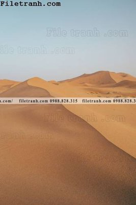 File gốc in tráng gương hinh anh phong canh sa mac yen tinh 113 chi tiết