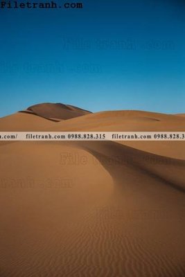 File gốc hinh anh phong canh sa mac yen tinh 118 (cho in ấn) từ kho Filetranh