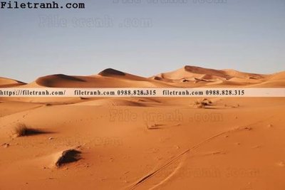 File gốc in ấn hinh anh phong canh sa mac yen tinh 131 (sẵn sàng tải về)