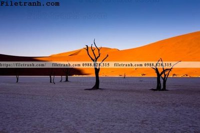 Tải file hinh anh phong canh sa mac yen tinh 138 (gốc) làm tranh treo tường