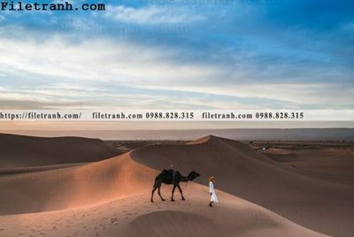 File gốc hinh anh phong canh sa mac yen tinh 139 (phong cách) tối giản