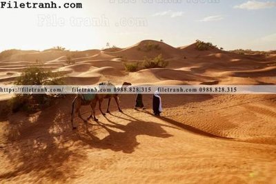 Mua file gốc hinh anh phong canh sa mac yen tinh 143 (PSD) tại Filetranh.com