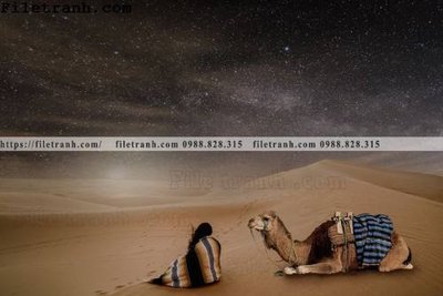 Download file ảnh gốc hinh anh phong canh sa mac yen tinh 144 để in ấn