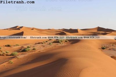 Tải file gốc hinh anh phong canh sa mac yen tinh 151 (bản PSD) gốc