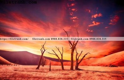 File tranh hinh anh phong canh sa mac yen tinh 153 (ảnh gốc) độ nét vượt trội