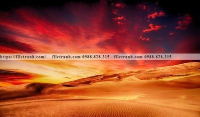 Tệp tin gốc hinh anh phong canh sa mac yen tinh 154 (chất lượng cao) hinh anh phong canh sa mac yen tinh 154