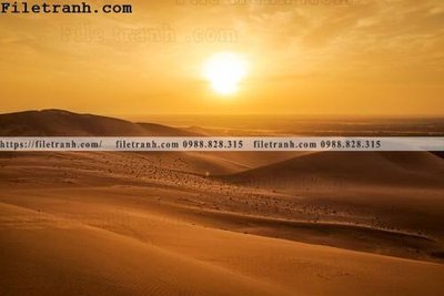 Mua file gốc hinh anh phong canh sa mac yen tinh 169 (in ấn) tại Filetranh.com