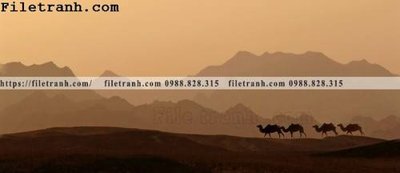 File PSD hinh anh phong canh sa mac yen tinh 172 (bản gốc) đã tách nền