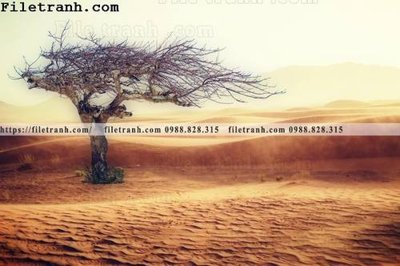 File gốc hinh anh phong canh sa mac yen tinh 174 (chủ đề hiện đại) trang trí