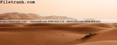 Tải file PSD hinh anh phong canh sa mac yen tinh 175 (nguyên layer) để in