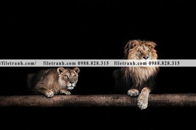 Tải file gốc hinh anh su tu dep 664 (bản PSD) chỉnh sửa được