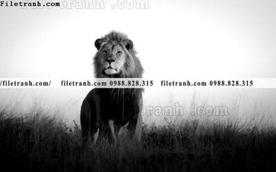 Tải về file gốc hinh anh su tu dep 666 (dùng cho in quảng cáo)