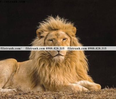 File gốc in tráng gương hinh anh su tu dep 668 chi tiết