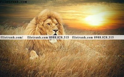 File tranh hinh anh su tu dep 672 (gốc) in vải canvas