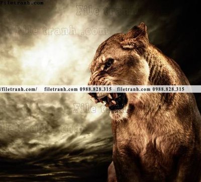 Download file hinh anh su tu dep 673 (chuẩn in) hinh anh su tu dep 673