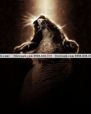 File gốc hinh anh su tu dep 682 (trang trí) phòng ngủ