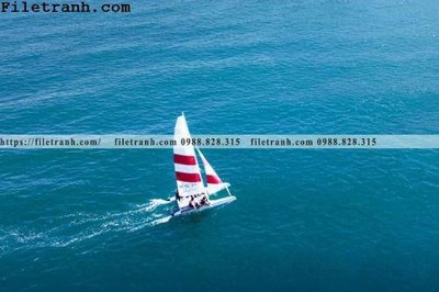 File tranh gốc in trần nhà hinh anh thuyen buom tren bien 105 3D