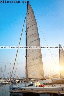 File in lụa hinh anh thuyen buom tren bien 117 (chất lượng cao) hinh anh thuyen buom tren bien 117