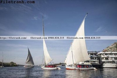 Tải về file gốc hinh anh thuyen buom tren bien 140 (dùng cho in quảng cáo)