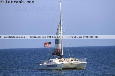 File gốc hinh anh thuyen buom tren bien 145 (AI/EPS) cho in ấn