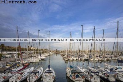 File gốc hinh anh thuyen buom tren bien 149 (thiết kế) cho in ấn