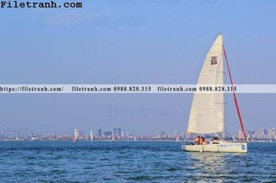 File gốc hinh anh thuyen buom tren bien 157 (dành cho trang trí nội thất)