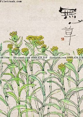 File gốc hoa chim tranh don trung quoc 123 (in lụa) tranh phong thủy