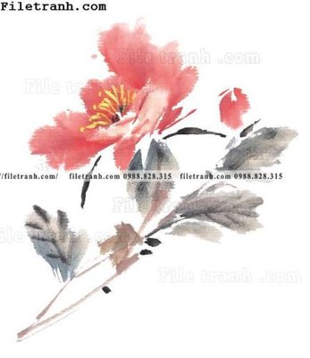 Mua file tranh gốc hoa mau don ve tay 268 tại Filetranh.com