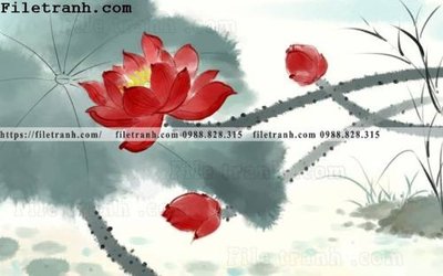 Tải về hình ảnh gốc hoa sen mau nuoc 188 sắc nét