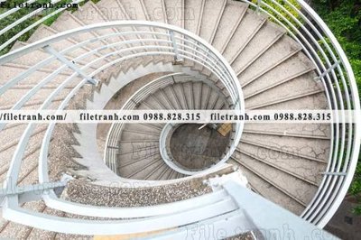 File gốc kien truc cau thang xoan oc 310 (AI/EPS) cho in ấn