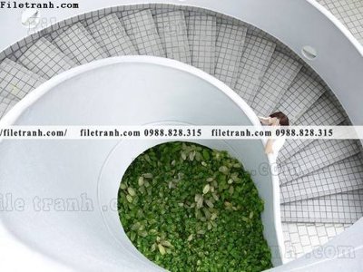 Download file tranh PSD kien truc cau thang xoan oc 427 để chỉnh sửa