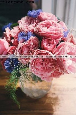 Tải file loat tranh tinh vat hoa 114 (gốc) làm file tranh quảng cáo