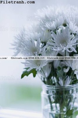 File gốc loat tranh tinh vat hoa 140 (chuẩn CMYK) cho nhà in