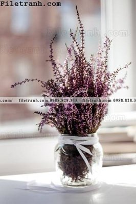 File gốc loat tranh tinh vat hoa 142 (PSD/TIFF) độ phân giải cao