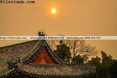 File tranh mai hien cua toa nha co 101 (ảnh gốc) độ nét vượt trội