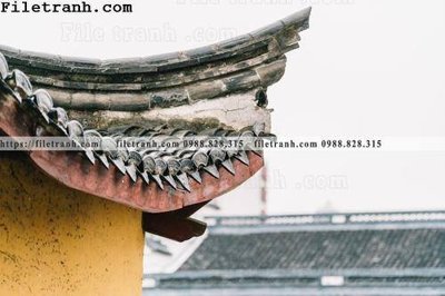 File in trần mai hien cua toa nha co 106 (bản gốc) đại dương