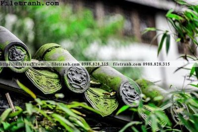 File in trần mai hien cua toa nha co 110 (bản gốc) đại dương