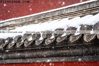 File gốc mai hien cua toa nha co 115 (cho in ấn) từ kho Filetranh