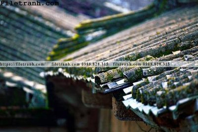 File gốc mai hien cua toa nha co 120 (PNG) nền trong suốt