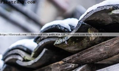 File tranh mai hien cua toa nha co 146 (gốc) chủ đề con người