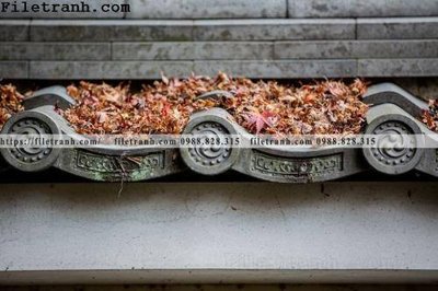 File tranh mai hien cua toa nha co 153 (ảnh gốc) độ nét vượt trội