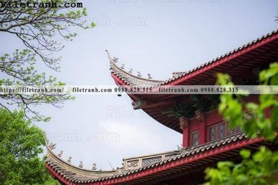 File gốc mai hien cua toa nha co 158 (in 3D) cho trang trí