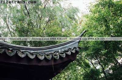 File ảnh mai hien cua toa nha co 167 (gốc) in PP, decal