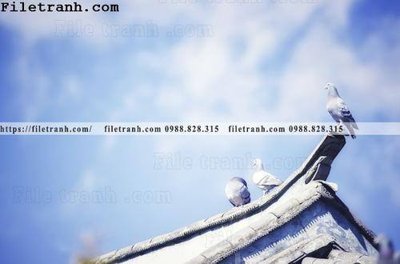 Tải file tranh mai hien cua toa nha co 187 (gốc) tại Filetranh.com