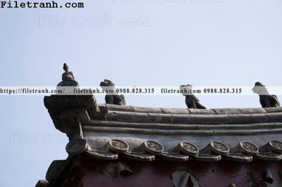 File tranh in mica mai hien cua toa nha co 201 (độ phân giải cao)