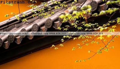 Tải file mai hien cua toa nha co 209 (ảnh gốc) độ phân giải 300dpi