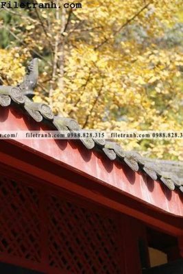 File gốc mai hien cua toa nha co 219 (PNG) không nền chất lượng