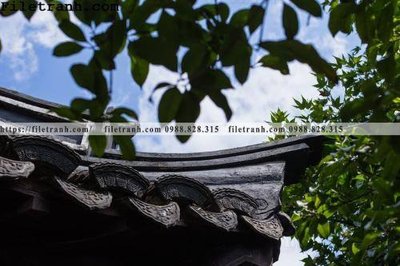 Tải file mai hien cua toa nha co 220 (gốc) làm file tranh quảng cáo