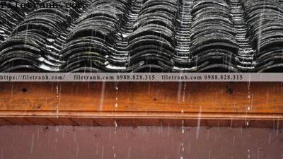 File in trần mai hien cua toa nha co 239 (file gốc) hoa văn 3D